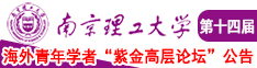 AA日逼视频南京理工大学第十四届海外青年学者紫金论坛诚邀海内外英才！